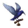 Biological Specimen (Bird)