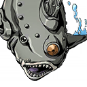 Squalo